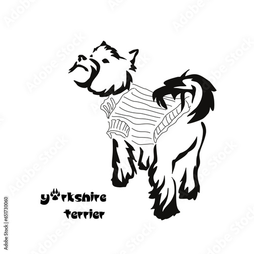 Logo of a small dog breed Yorkshire terrier. Standing dog in a knitted sweater. Animal Gestalt Design
