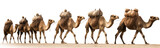 Camel train isolated on transparent background - Generative AI