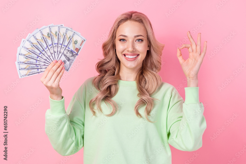 Portrait of attractive young business lady show okey sign demonstrate her savings money bank deposit isolated on pink color background Portrait of attractive young business lady show okey sign demonstrate her savings money bank deposit isolated on pink color background