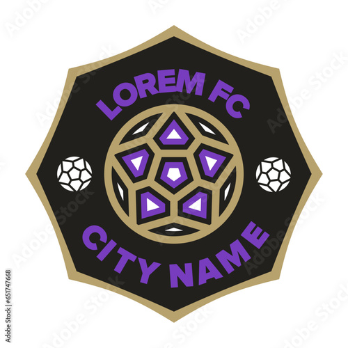 vector football team or club flat labels set