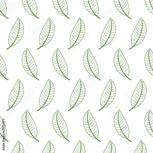 Vector seamless pattern with outline green abstract leaves