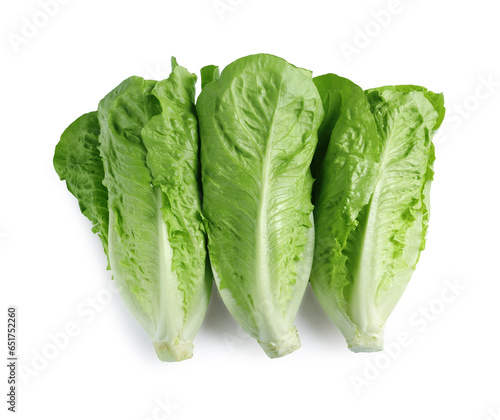 Obraz na płótnie Fresh green romaine lettuces isolated on white, top view