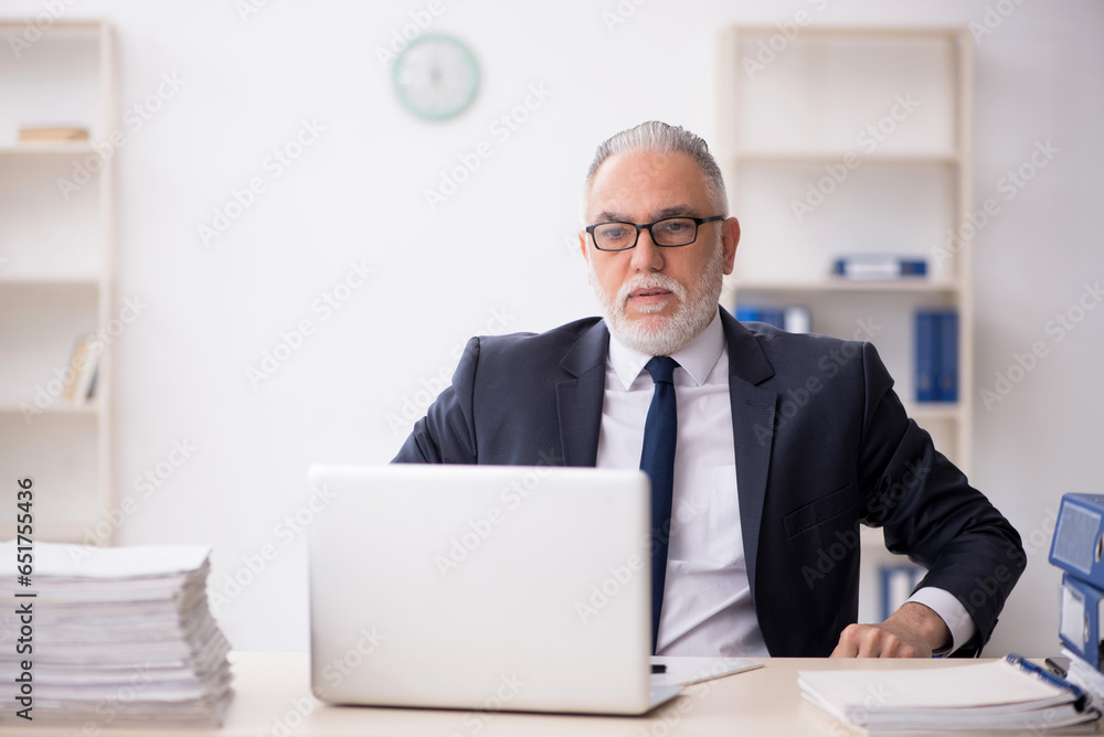 Old male employee working in the office Old male employee working in the office