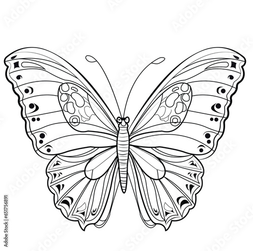 butterfly line art