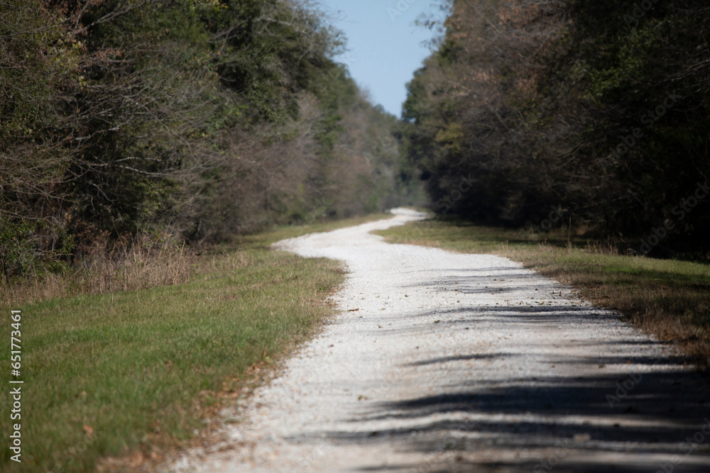 Gravel Road Cutting through a Forest Gravel Road Cutting through a Forest