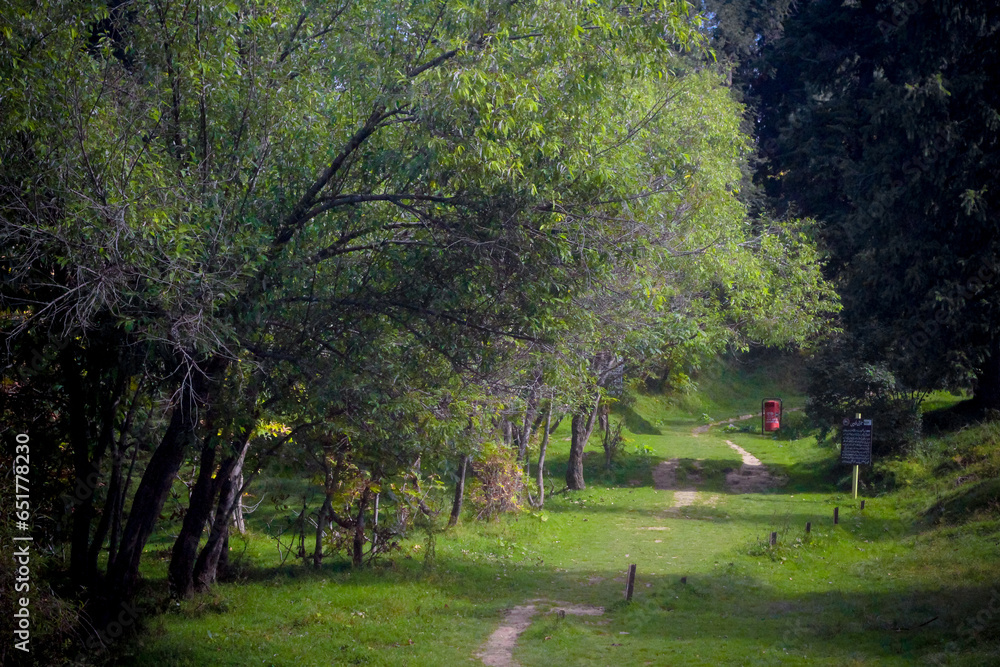 Beautiful lush green tracking path mountains - for Exercise and Walk