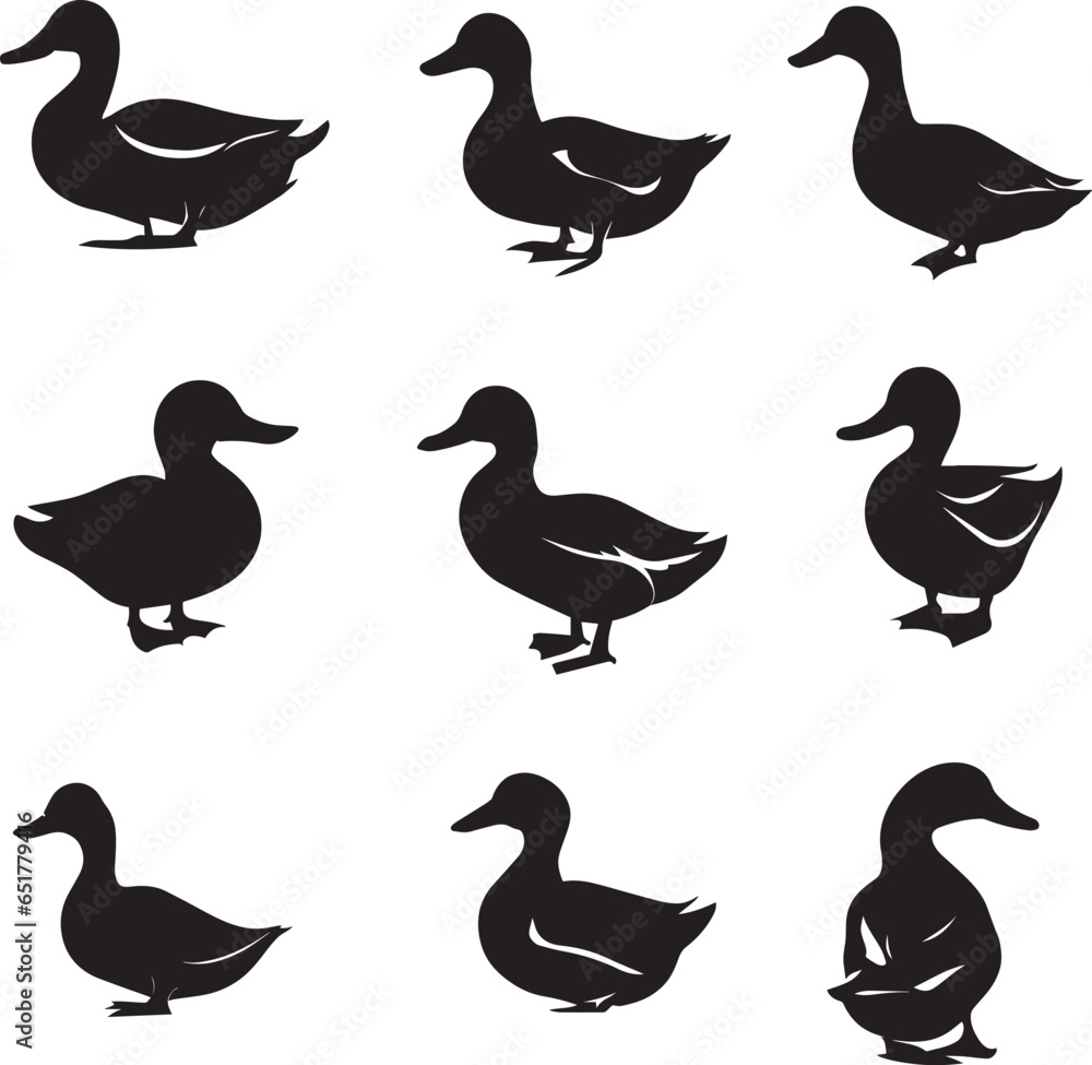 Fototapeta premium Duck vector silhouette Illustration black color
