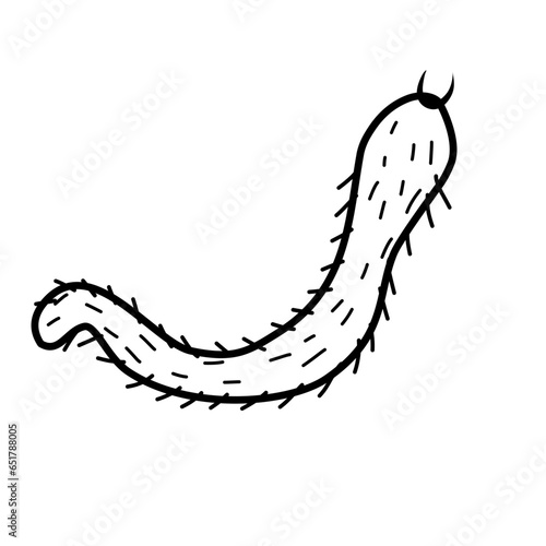 bacteria line icon