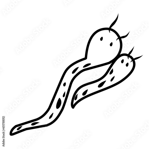 bacteria line icon