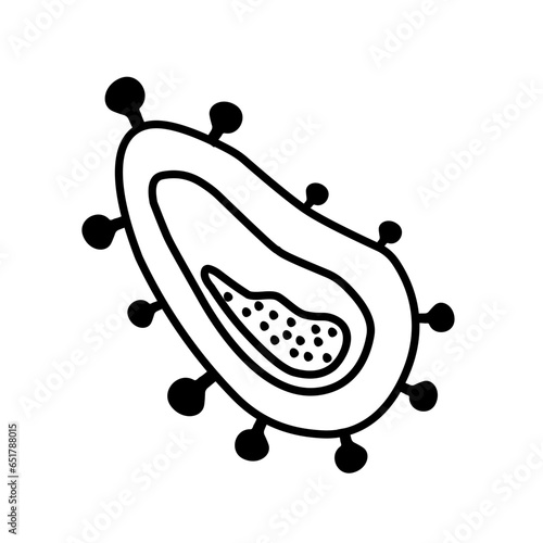 bacteria line icon