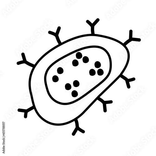 bacteria line icon