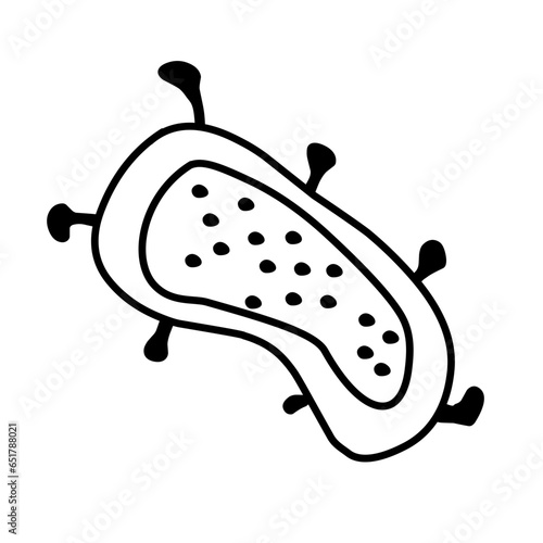 bacteria line icon