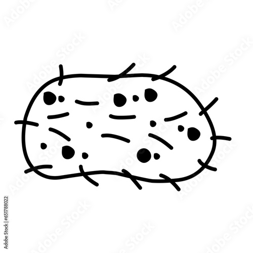 bacteria line icon