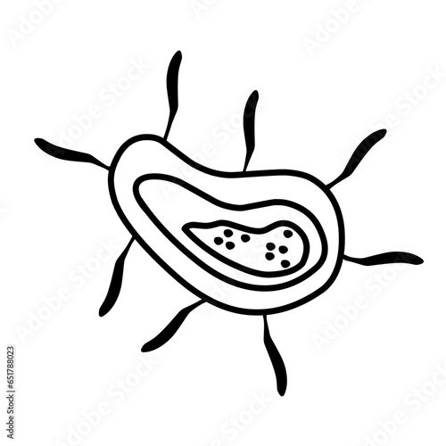 bacteria line icon