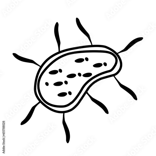 bacteria line icon