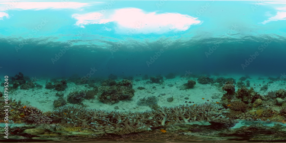 The Underwater World of the with Colored Fish and a Coral Reef. Tropical reef marine. Philippines. Virtual Reality 360.