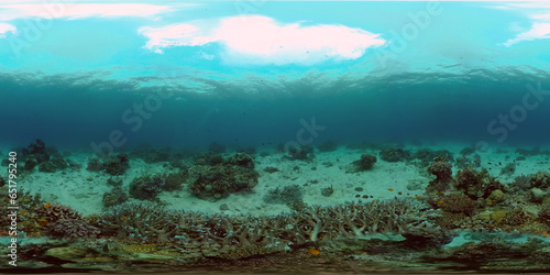 The Underwater World of the with Colored Fish and a Coral Reef. Tropical reef marine. Philippines. Virtual Reality 360.
