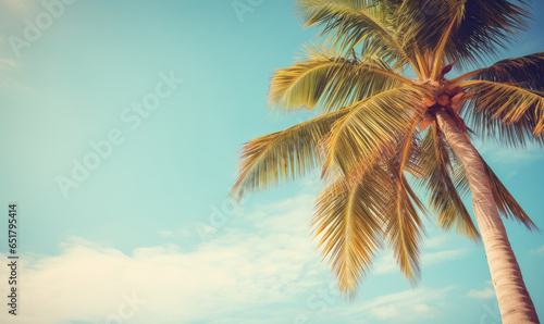 Tropical landscape featuring a prominent palm tree under a vast blue expanse. © Lidok_L