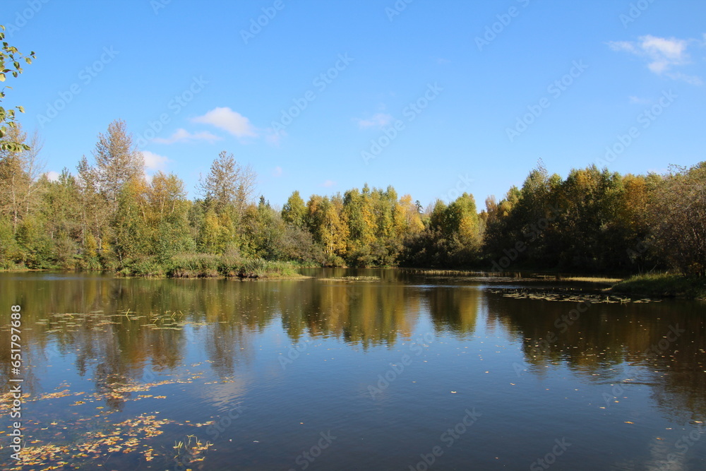 autumn trees reflected in water, U of A Botanic Gardens, Devon, Alberta