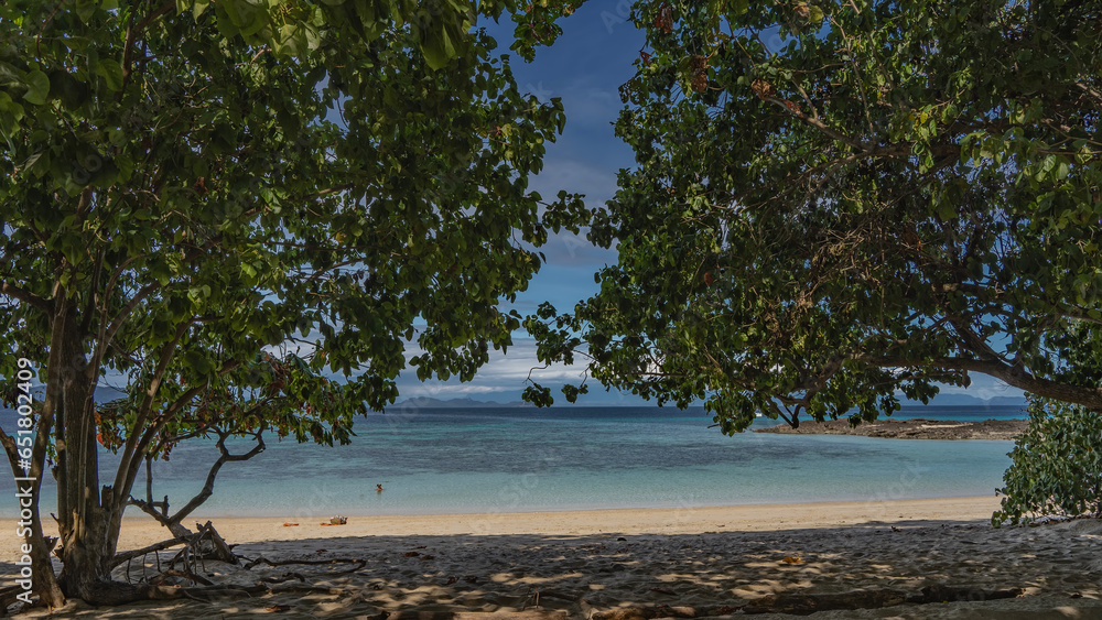 Sprawling trees grow on the ocean shore. Lush crowns against the sky. A silhouette of a swimming person is visible in the turquoise ocean. Bag and clothes on the sand. Mountains in the distance. Sprawling trees grow on the ocean shore. Lush crowns against the sky. A silhouette of a swimming person is visible in the turquoise ocean. Bag and clothes on the sand. Mountains in the distance.