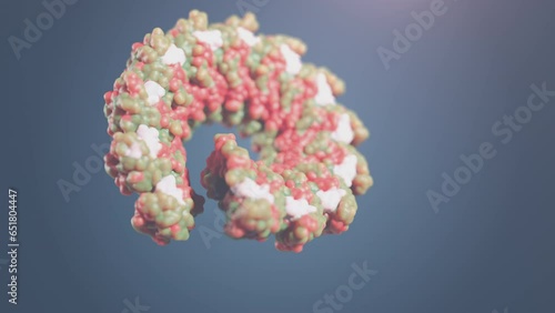 Biological assembly of the Nipah virus. Rendering of the cryoEM nucleocapsid assembly of the zoonotic NiV, which causes respiratory illness and encephalitis.
