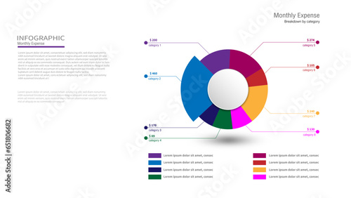 Pie Chart Infographic, Money Expense Process Infographic Template