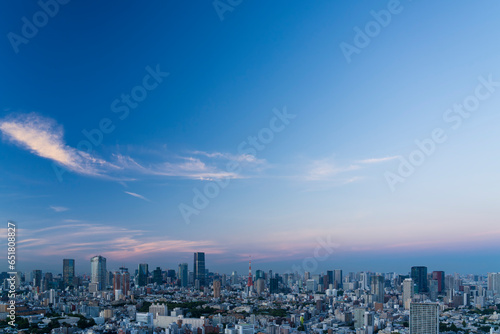 マジックアワーの東京タワーと東京都心の都市風景