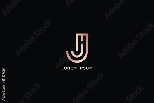 jh letter modern style luxury brand design creative golden wordmark design typography illustration, hj wordmark, hj logo photo