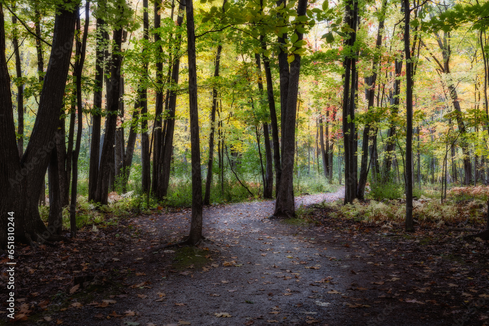 Naklejka premium Beautiful Fall moment in Quebec, Canada