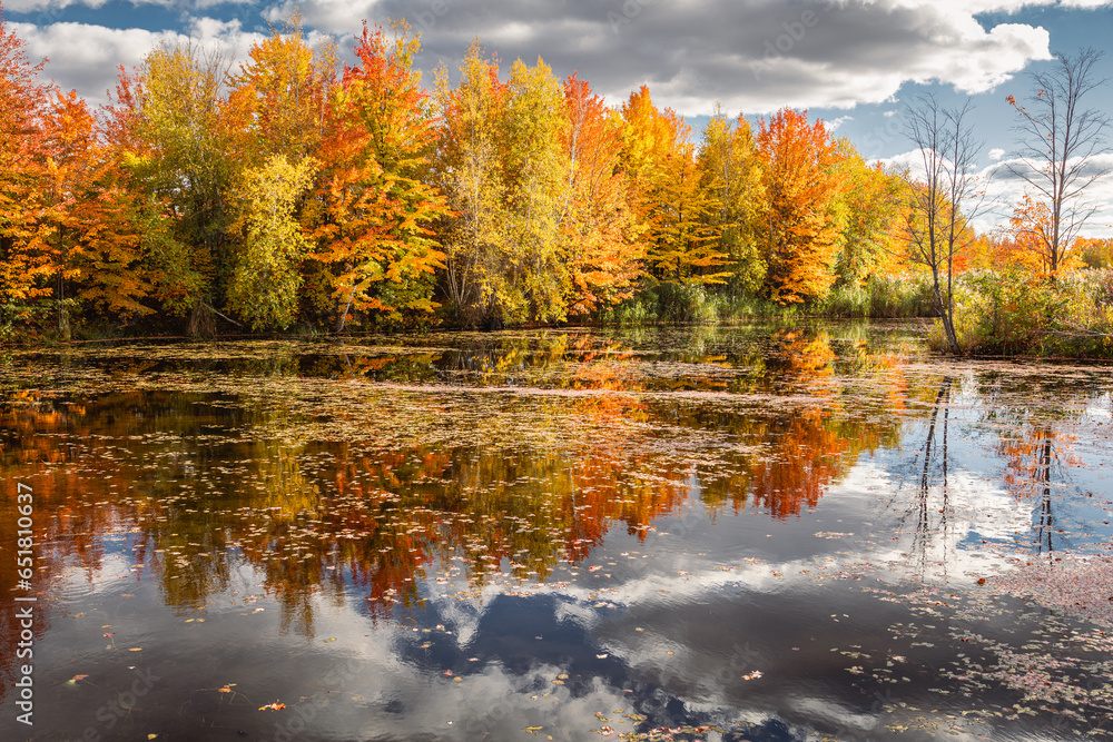 Naklejka premium Beautiful Fall moment in Quebec, Canada