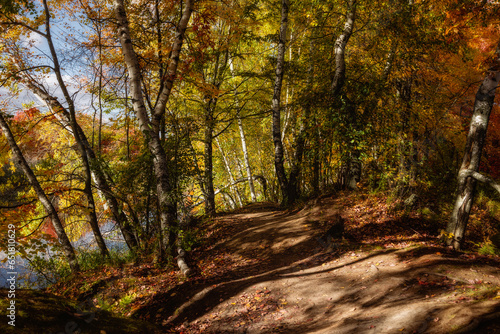 Beautiful Fall moment in Quebec, Canada © Ievgenii