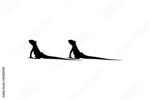 Silhouette of Iguana Reptiles (a genus of herbivorous lizards that are native to tropical areas of Mexico, Central America, South America, and the Caribbean). Vector Illustration 