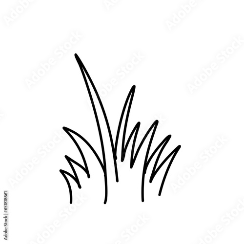 doodle grass illustration