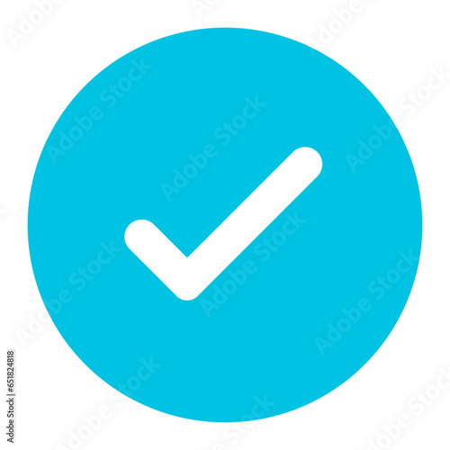 Check Mark Button icon vector