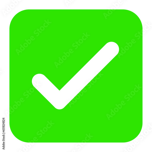 Check Mark Button icon vector