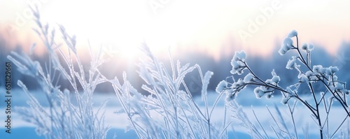 Frozen snowy grass, winter natural abstract background. beautiful winter landscape. © MKhalid