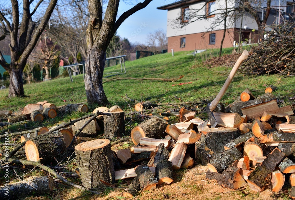 Chopping wood in the garden in the village in autumn
