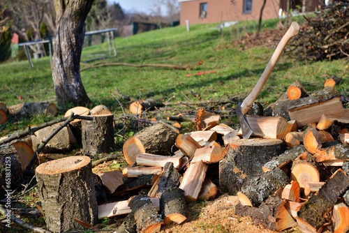 Obraz na płótnie An ax cut into wood on a pile of cut wood for the winter w salonie