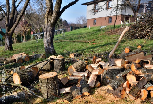 Obraz na płótnie Chopping wood in the garden in the village in autumn w salonie