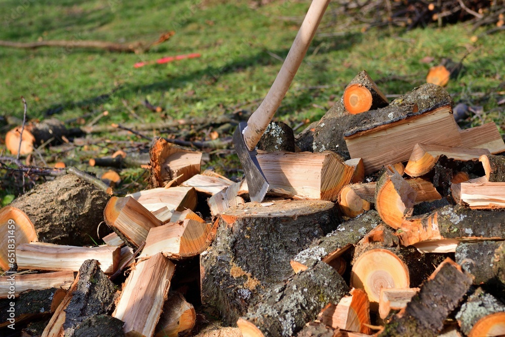 An ax cut into wood on a pile of cut wood for the winter