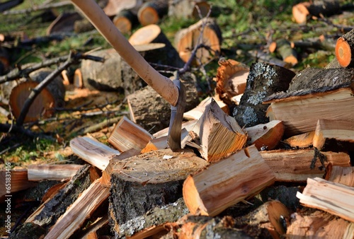 Obraz na płótnie A pile of chopped wood in an orchard in the village w salonie