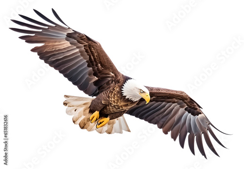 Majestic flying eagle on isolated background photo