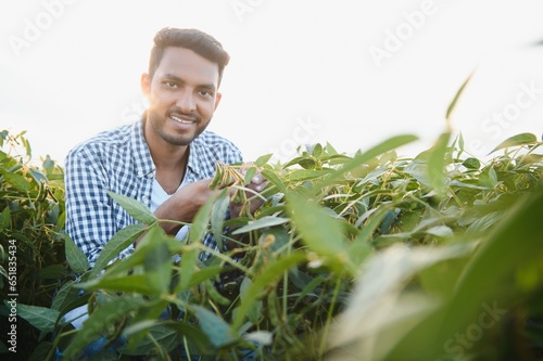 The concept of agriculture. An Indian farmer or agronomist inspects the soybean crop in a field.