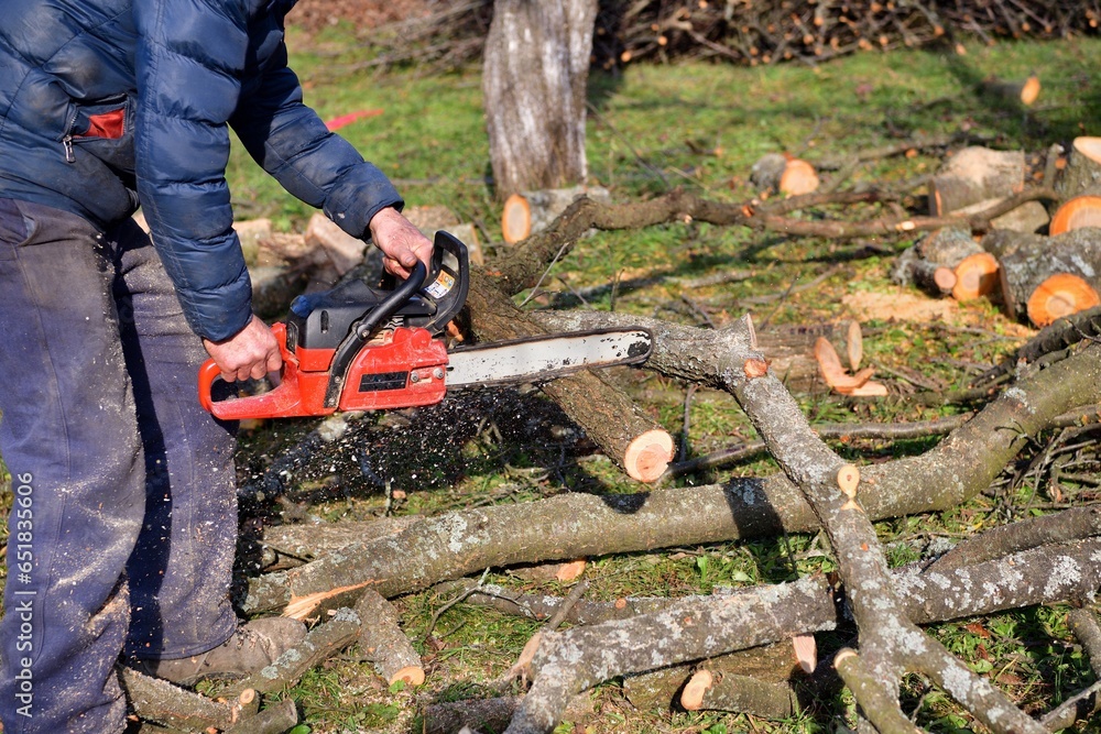 The traditional way of sawing a tree with a chainsaw