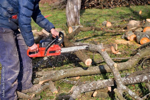 Obraz na płótnie The traditional way of sawing a tree with a chainsaw w salonie