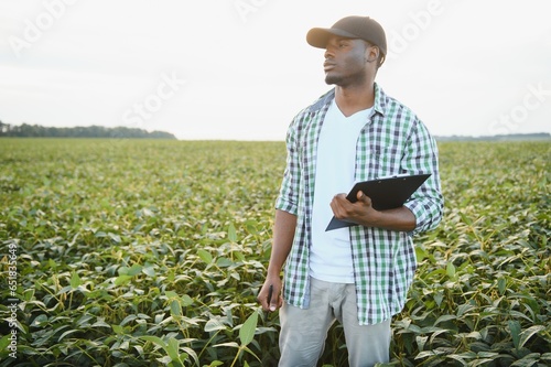 African American male farmer in soybean field at sunset. © Serhii