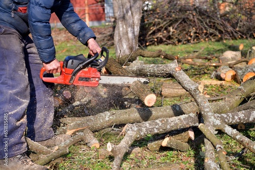Obraz na płótnie The traditional way of sawing a tree with a chainsaw w salonie