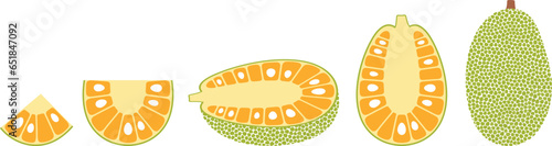 Jack fruit logo. Isolated jack fruit on white background