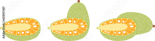 Jack fruit logo. Isolated jack fruit on white background