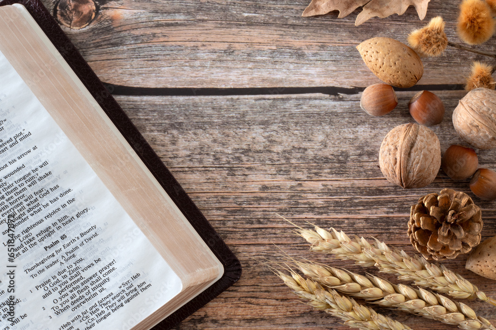 Wheat stalks, nuts, and autumn leaves with open holy bible Psalm 65 on wooden table. Top view